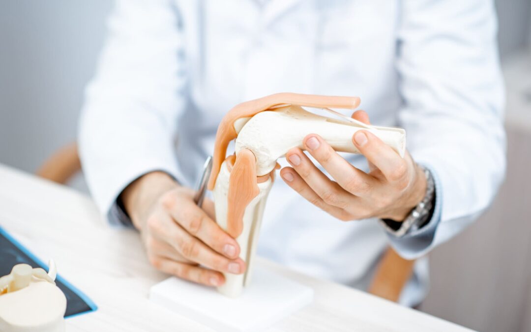 Nasze motto i zespół